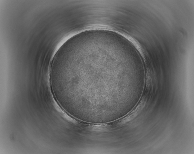 X0000112771390200908271632