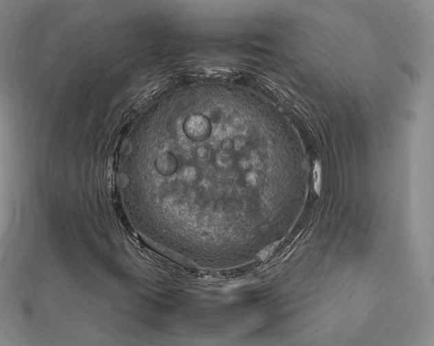 X0000112771395200908271631