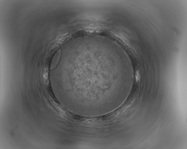 X0000112771396200908271631