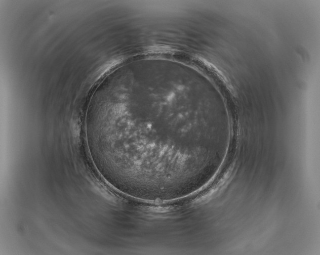 X0000112771401200908271631
