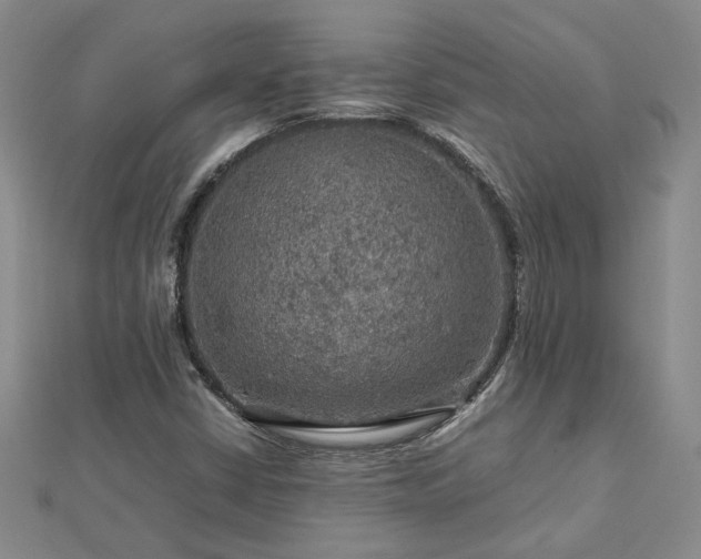 X0000112771402200908271631