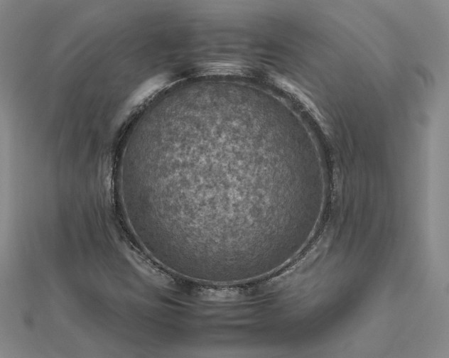 X0000112771403200908271631