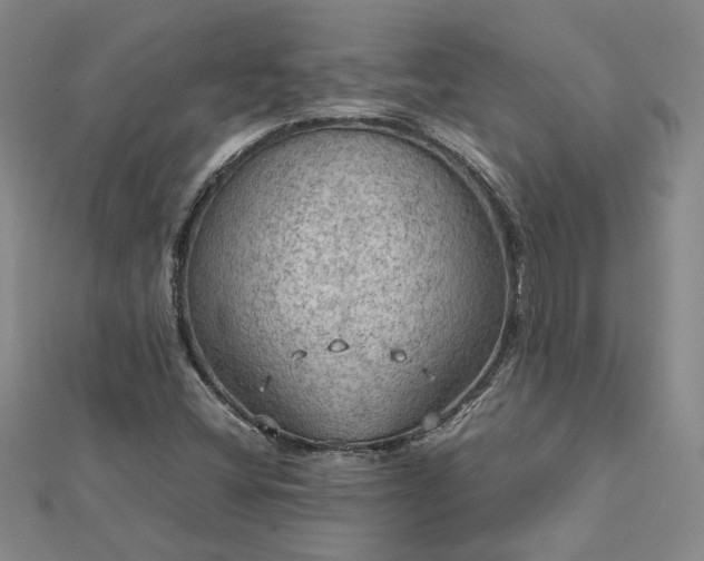 X0000112771404200908271631