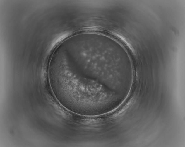 X0000112771405200908271631