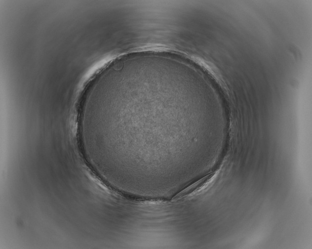 X0000112771406200908271631