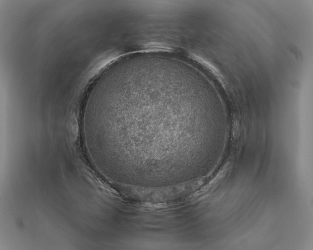 X0000112771407200908271631