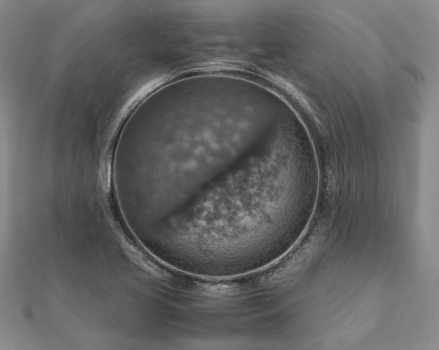 X0000112771413200908271631