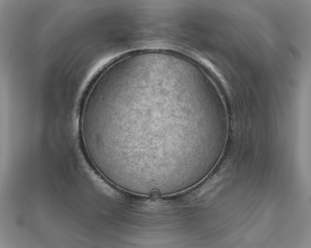 X0000112771416200908271631
