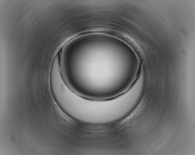 X0000112771417200908271631