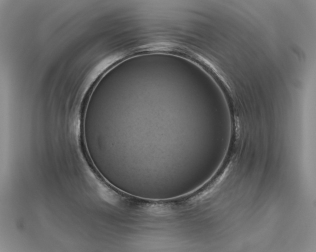 X0000112771418200908271631