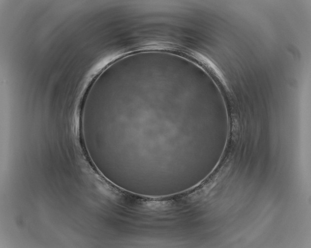 X0000112771419200908271631