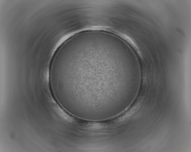 X0000112771420200908271631