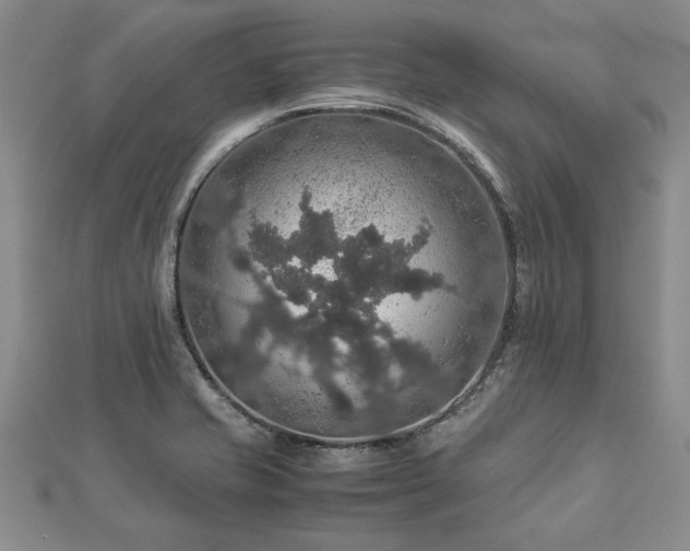 X0000112771421200908271631