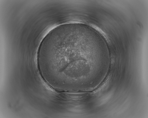 X0000112771423200908271631