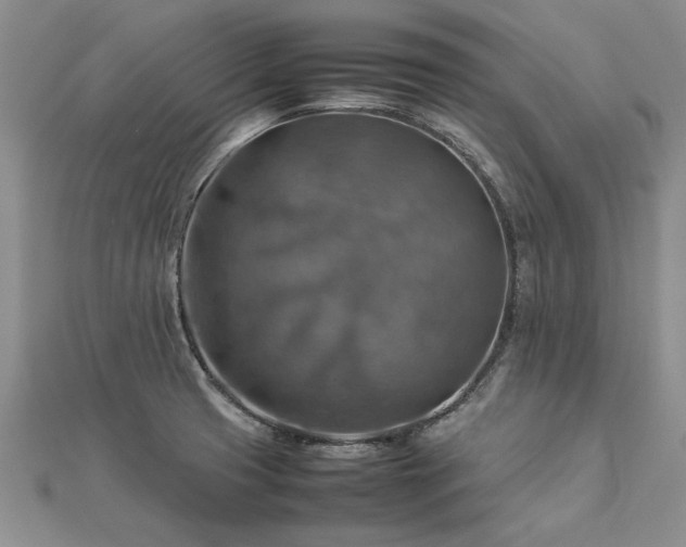 X0000112771425200908271631
