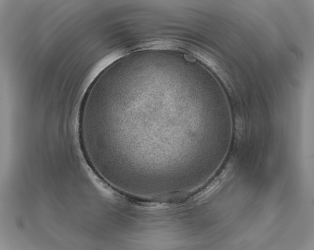 X0000112771426200908271631
