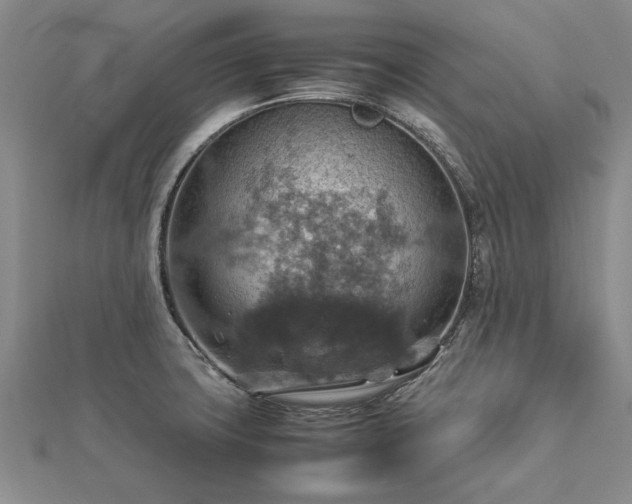 X0000112771427200908271631