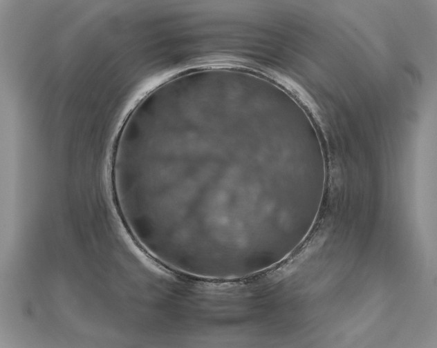 X0000112771429200908271631