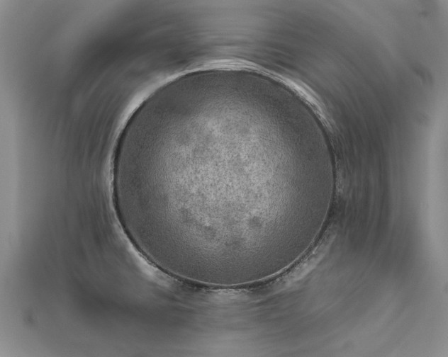 X0000112771430200908271631