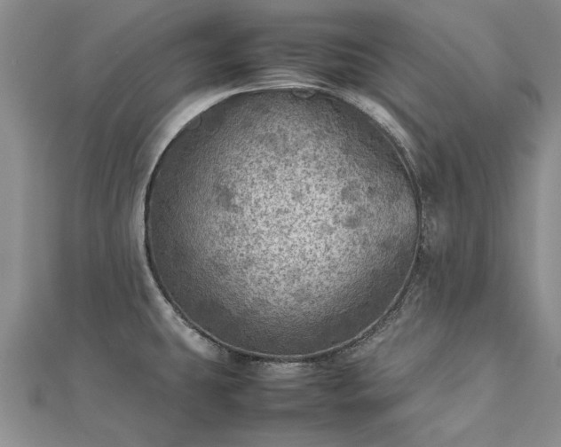 X0000112771431200908271631