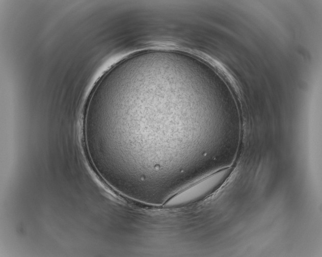 X0000112771432200908271631