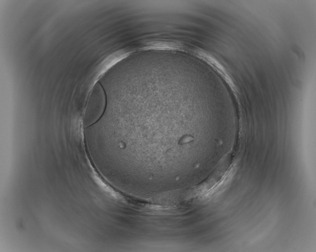 X0000112771433200908271631