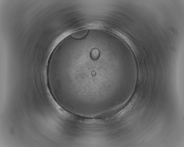 X0000112771434200908271632