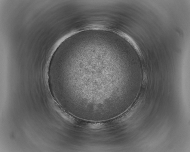 X0000112771435200908271632
