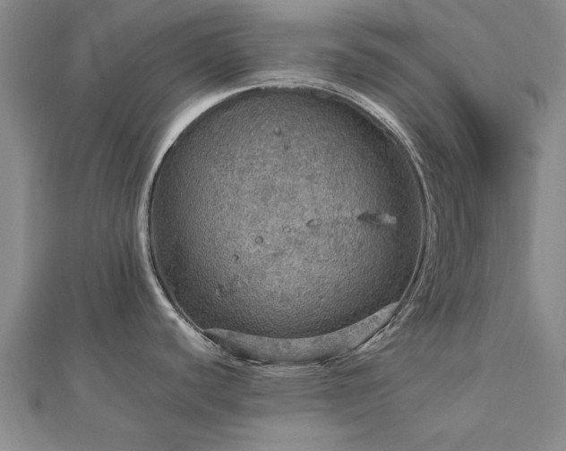 X0000112771440200908271632
