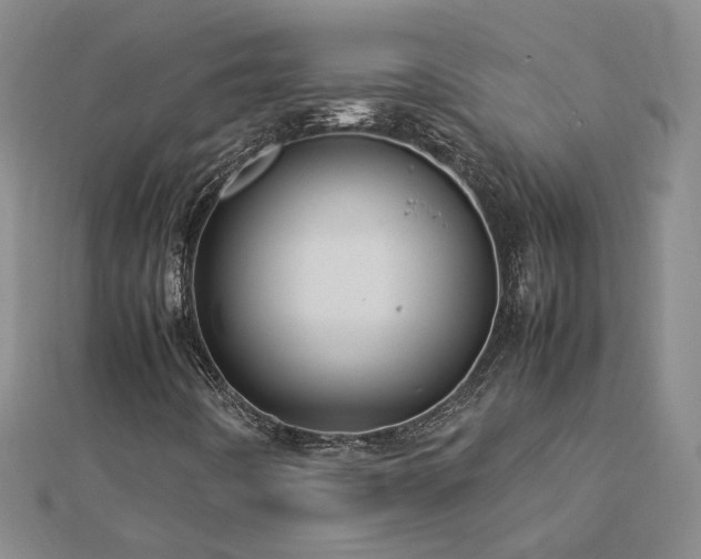 X0000112771442200908271631