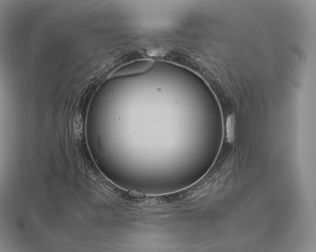 X0000112771443200908271631