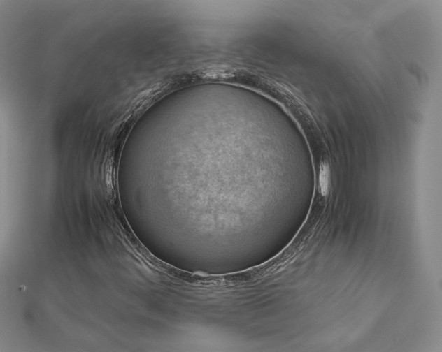 X0000112771444200908271631