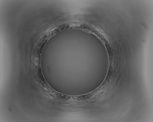 X0000112771445200908271631