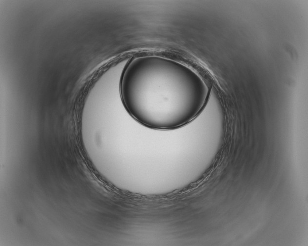 X0000112771448200908271631
