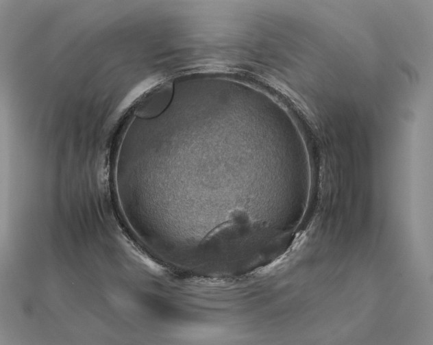 X0000112771450200908271631
