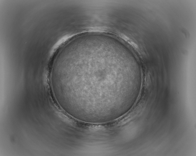 X0000112771454200908271631