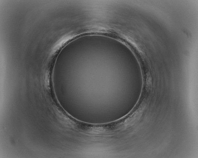 X0000112771455200908271631