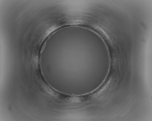 X0000112771457200908271631