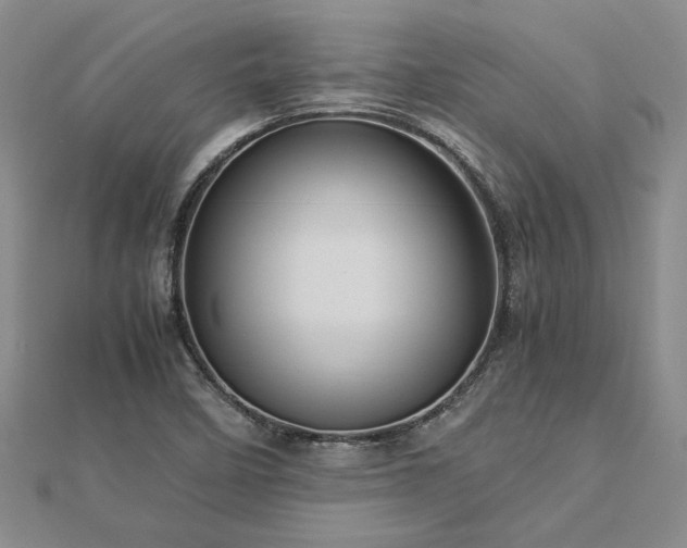 X0000112771458200908271631