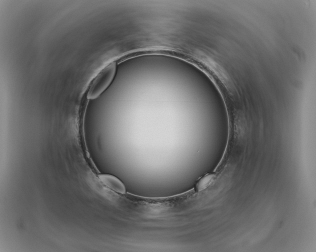 X0000112771460200908271631
