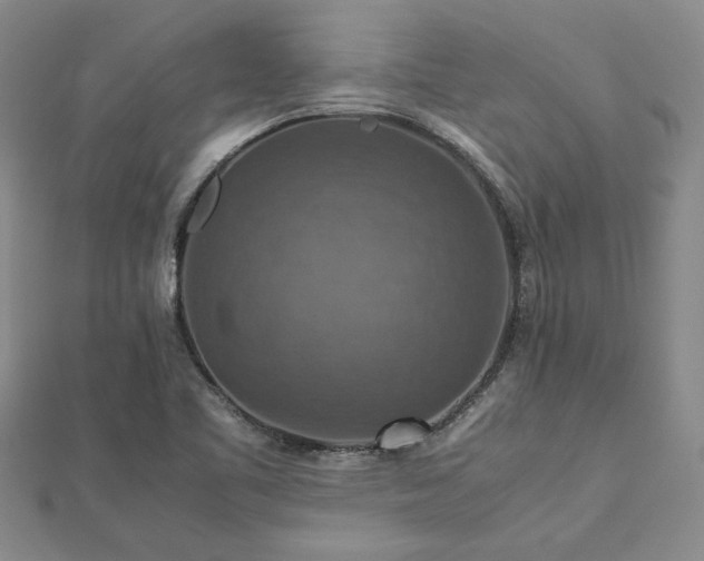 X0000112771461200908271631