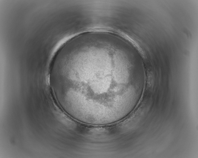 X0000112771462200908271631