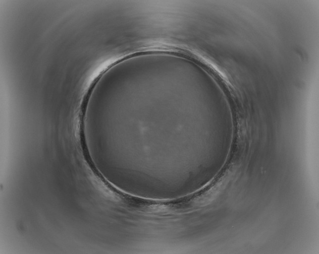 X0000112771463200908271631