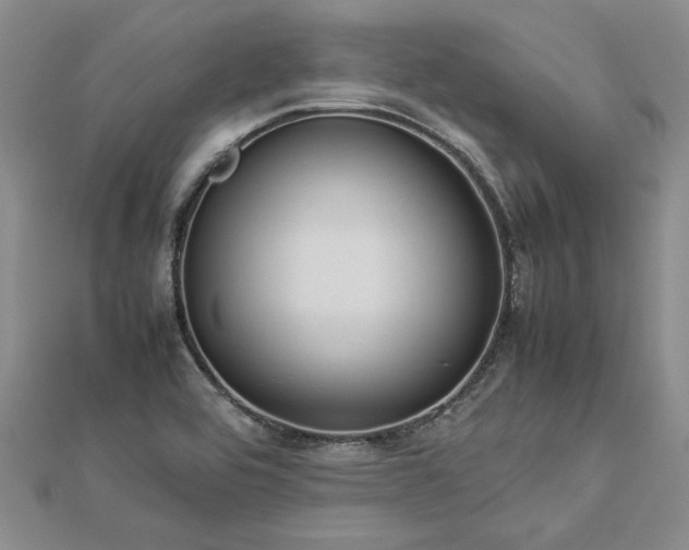 X0000112771464200908271631