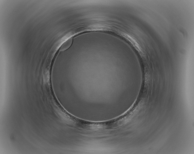 X0000112771465200908271631