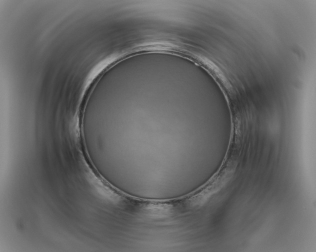 X0000112771466200908271631