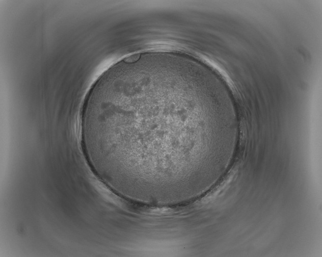 X0000112771467200908271631