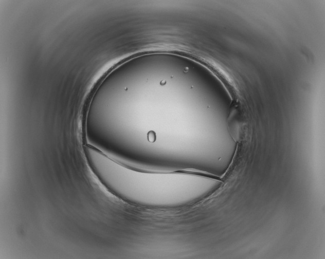 X0000112771468200908271631