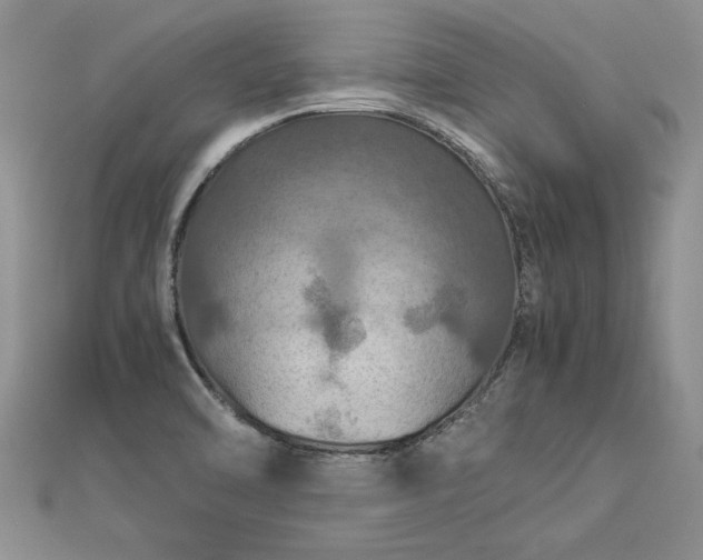 X0000112771470200908271631