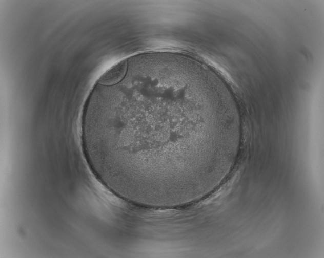 X0000112771471200908271631